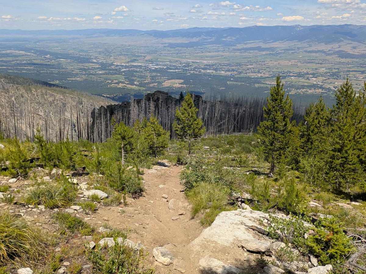 Ward Mountain photo 2