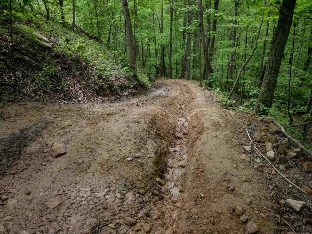 IB 45 trail photo