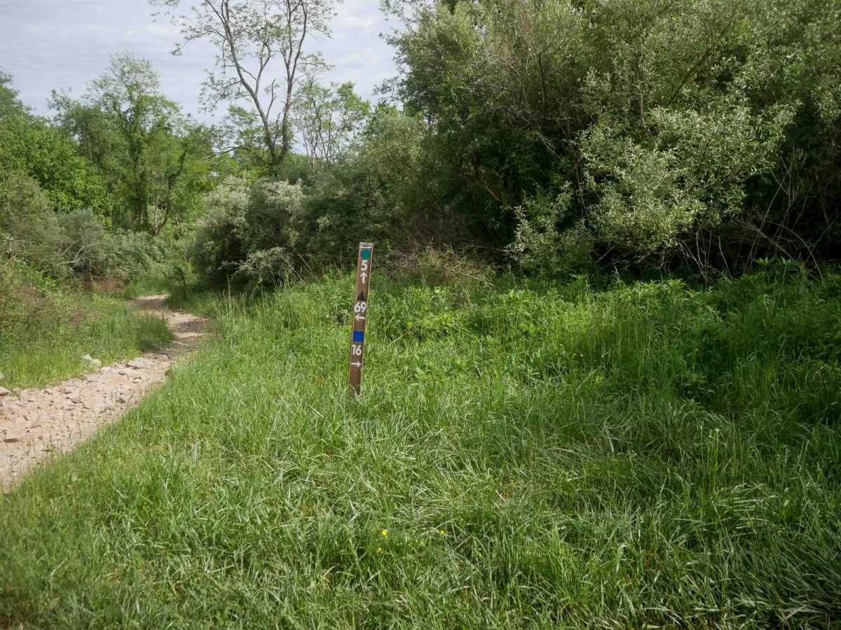 MV16 photo 4