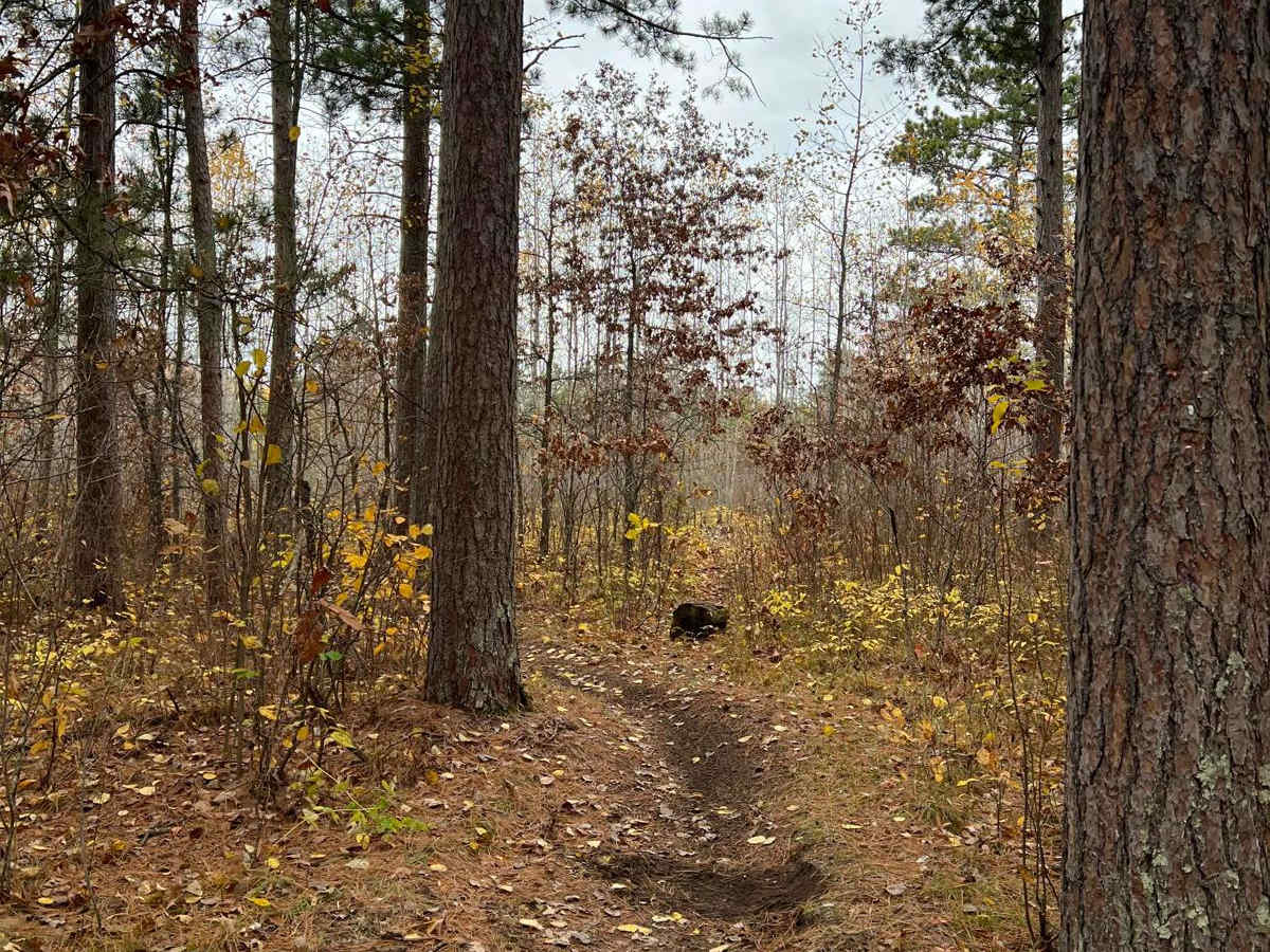 Finn Lake Loop photo 3