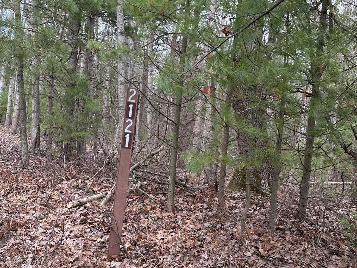 FS 2121 trail photo
