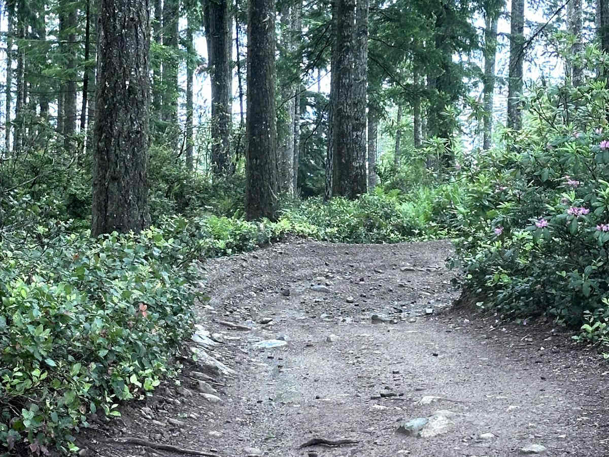 Door Bender Trail photo 6