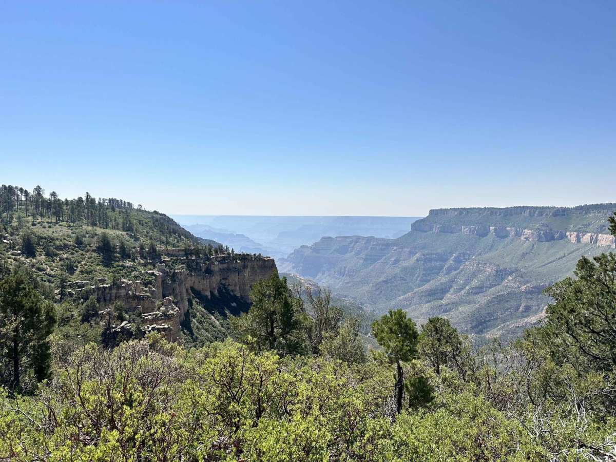Swamp Point and North Bass Trailhead trail photo