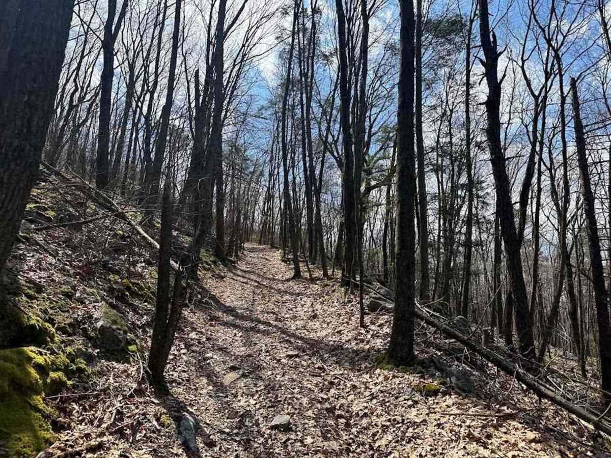 Ashland 123 photo 3