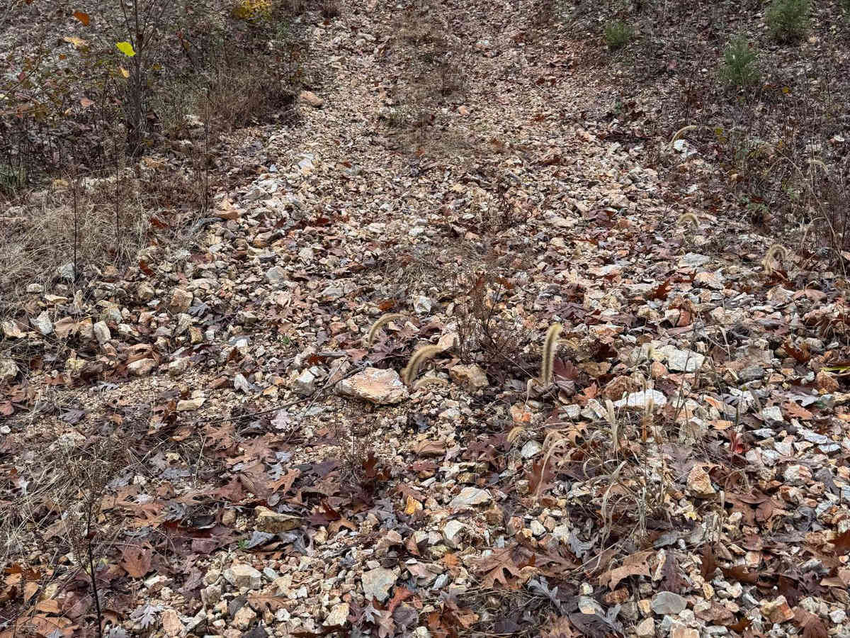 Red 188 trail photo