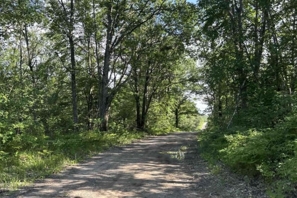 Elk Road