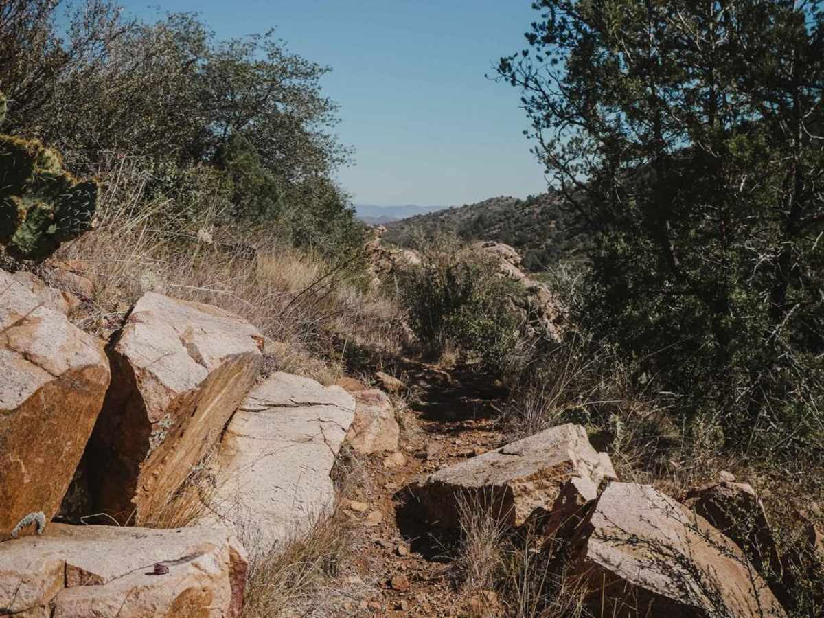 Red Mountain Trail photo 2