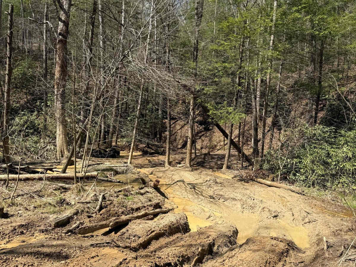 Trail 13 photo 4