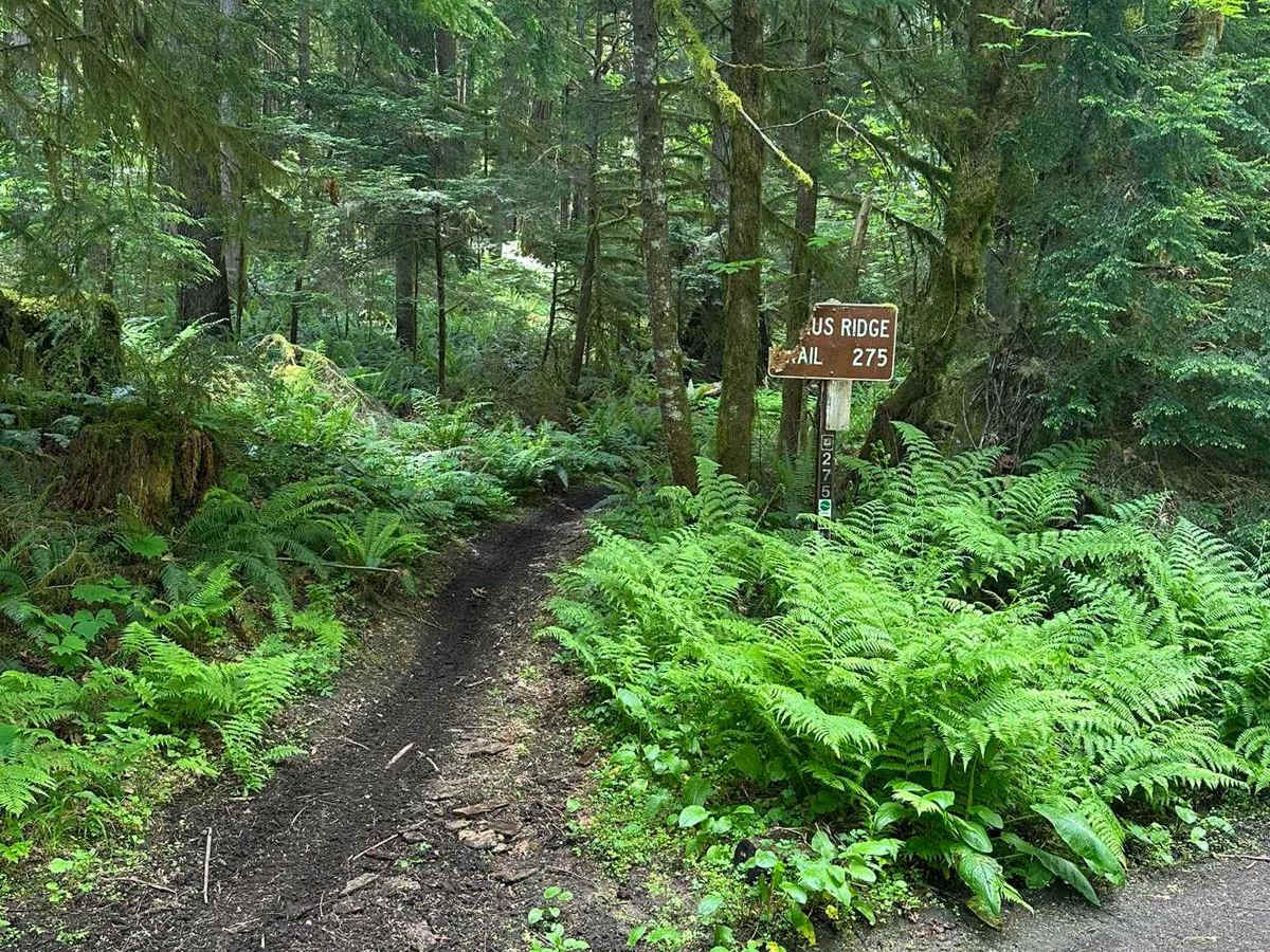 Kraus Ridge photo 4