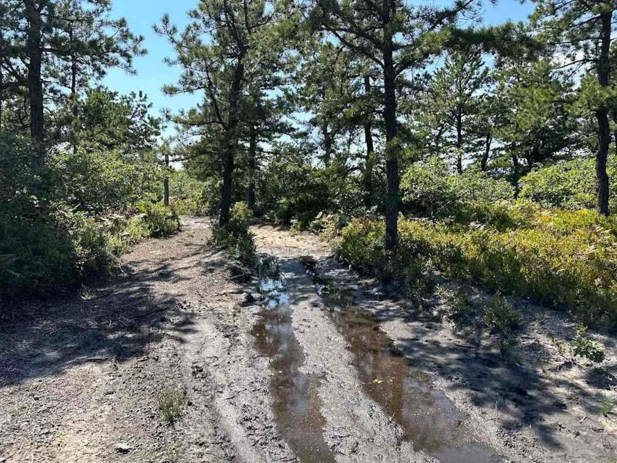 30 Blue trail photo