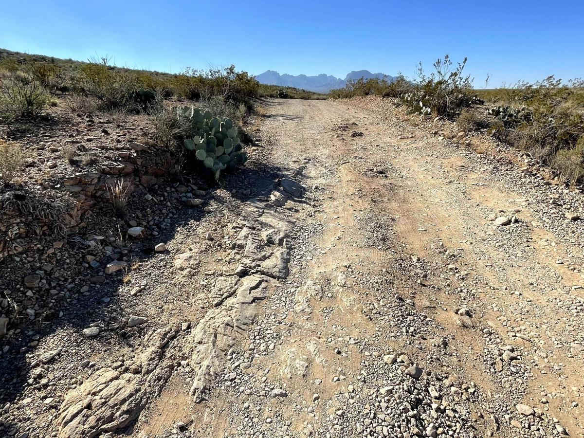 Grapevine Hills Road photo 3