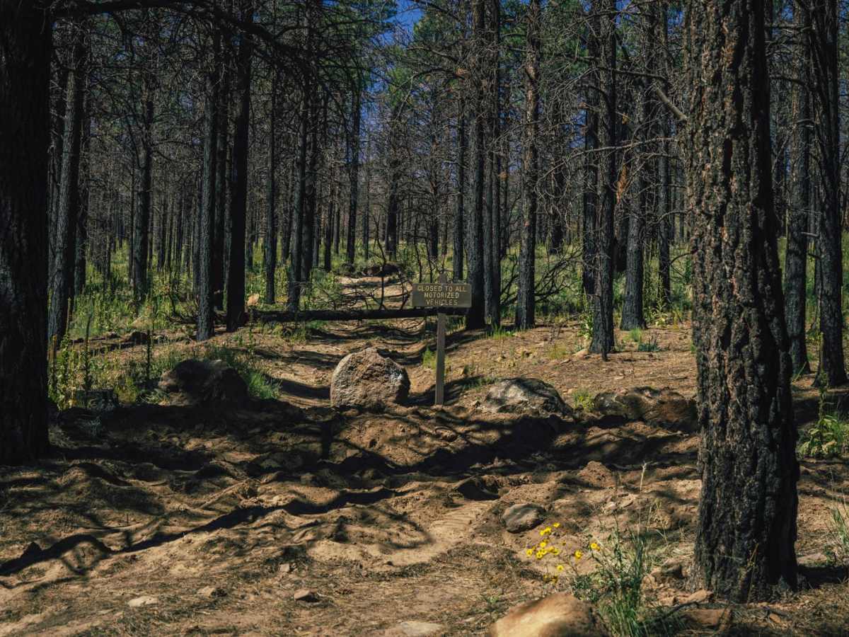 553  trail photo