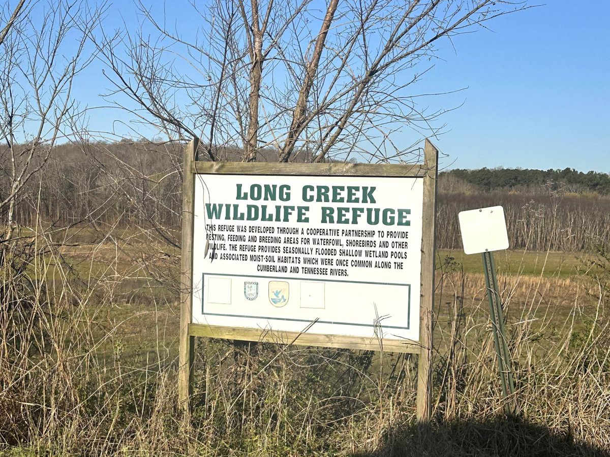 Long Creek Road photo 5