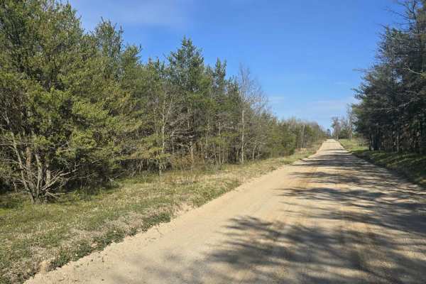 St. Helen Trail