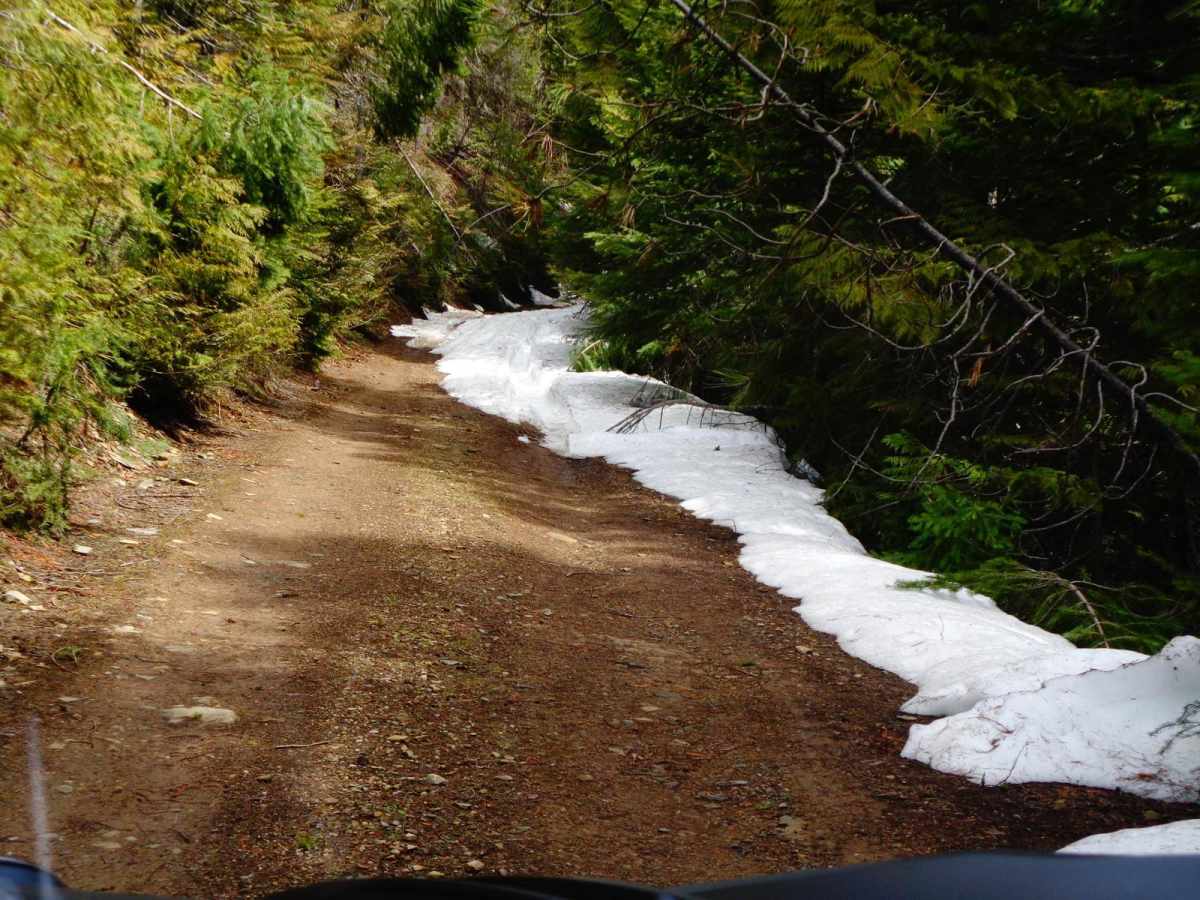 Flat Creek Hwy 135 photo 3