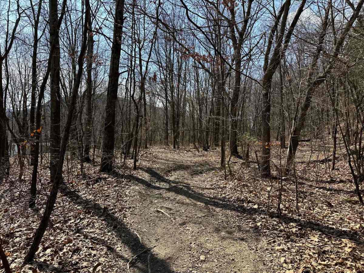 Ashland 105 photo 5