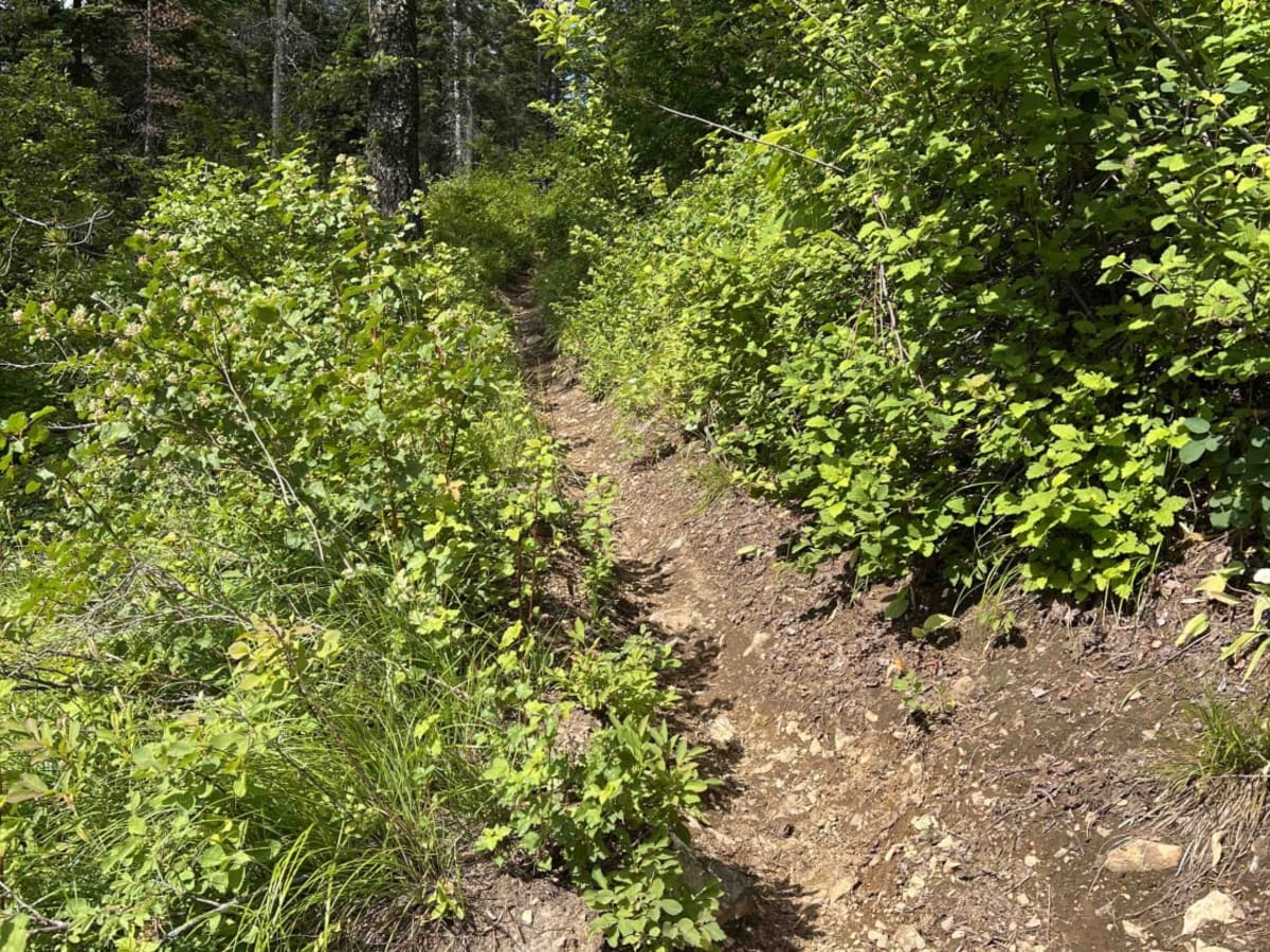 Jewel Gulch photo 2