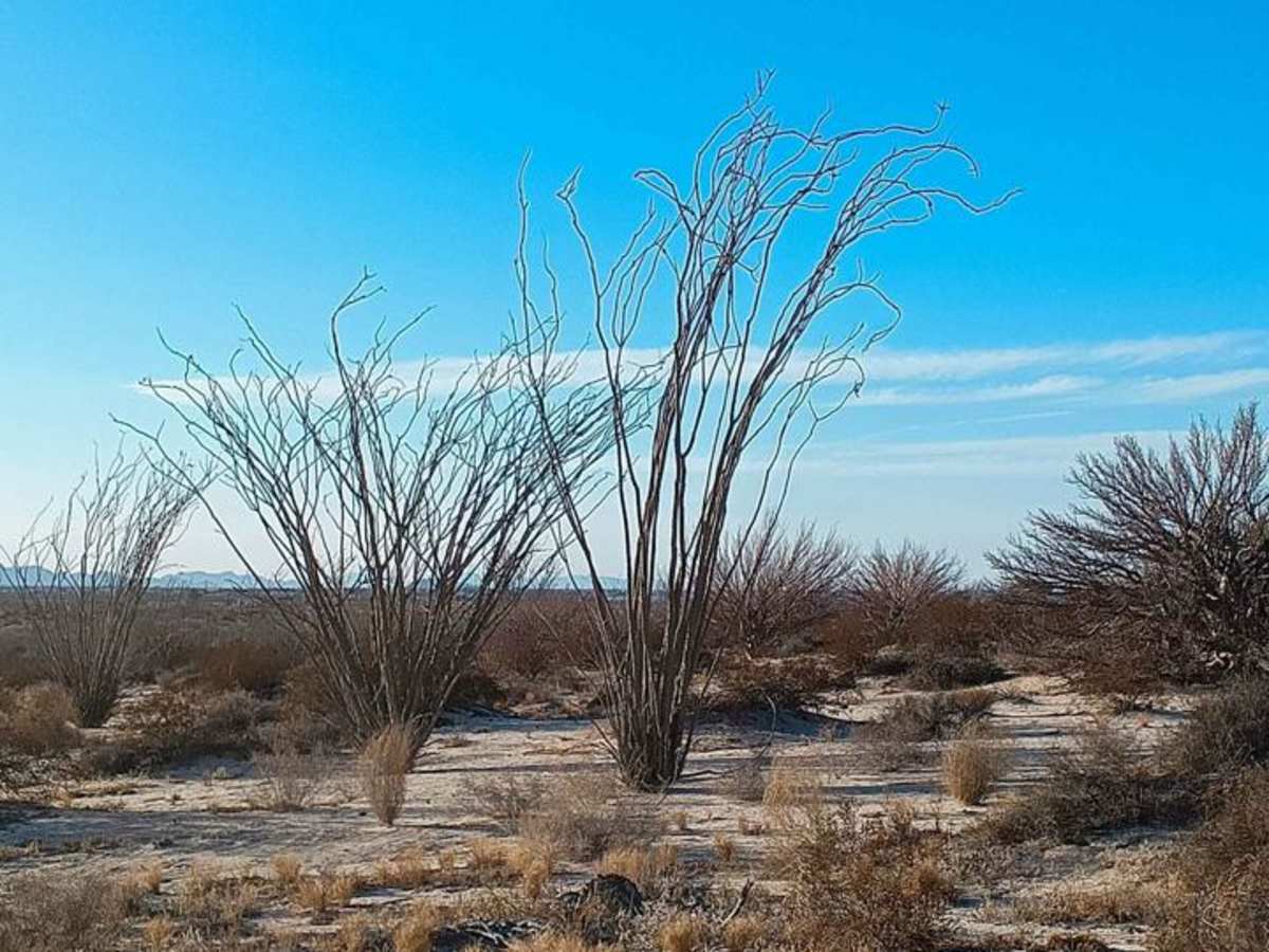 Sea of Cortez Overlook photo 6