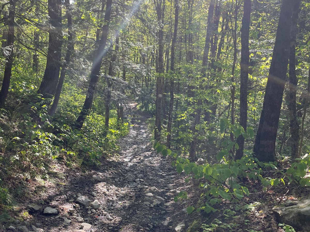 Old Stage Trail photo 6