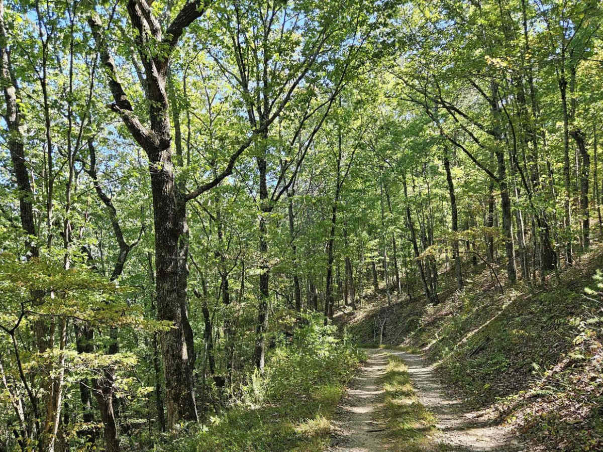 Hidden Creek Road (955-955B) photo 6