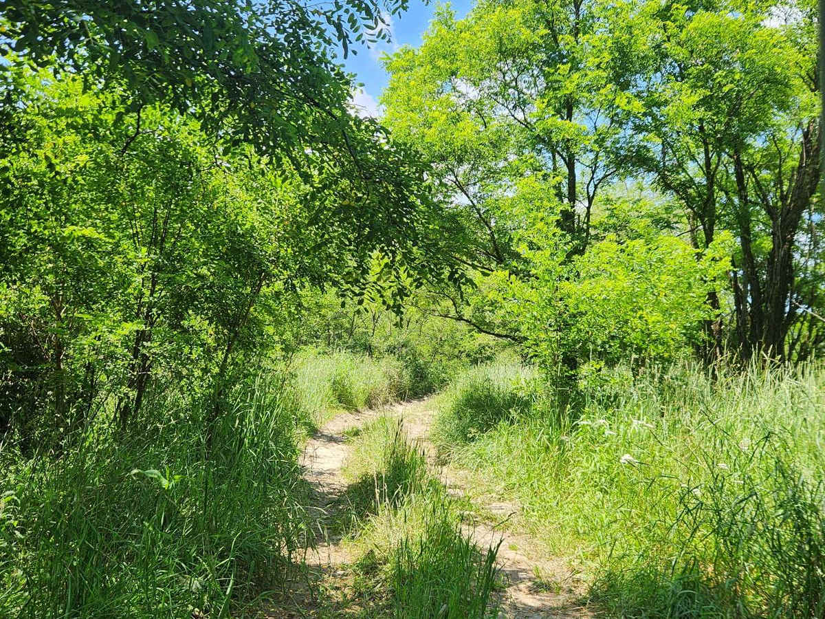 Trail 8A - Rock Run Recreation Area photo 6