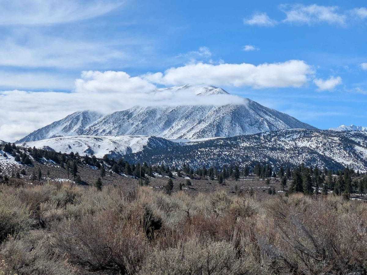 Owens Gorge Road photo 2