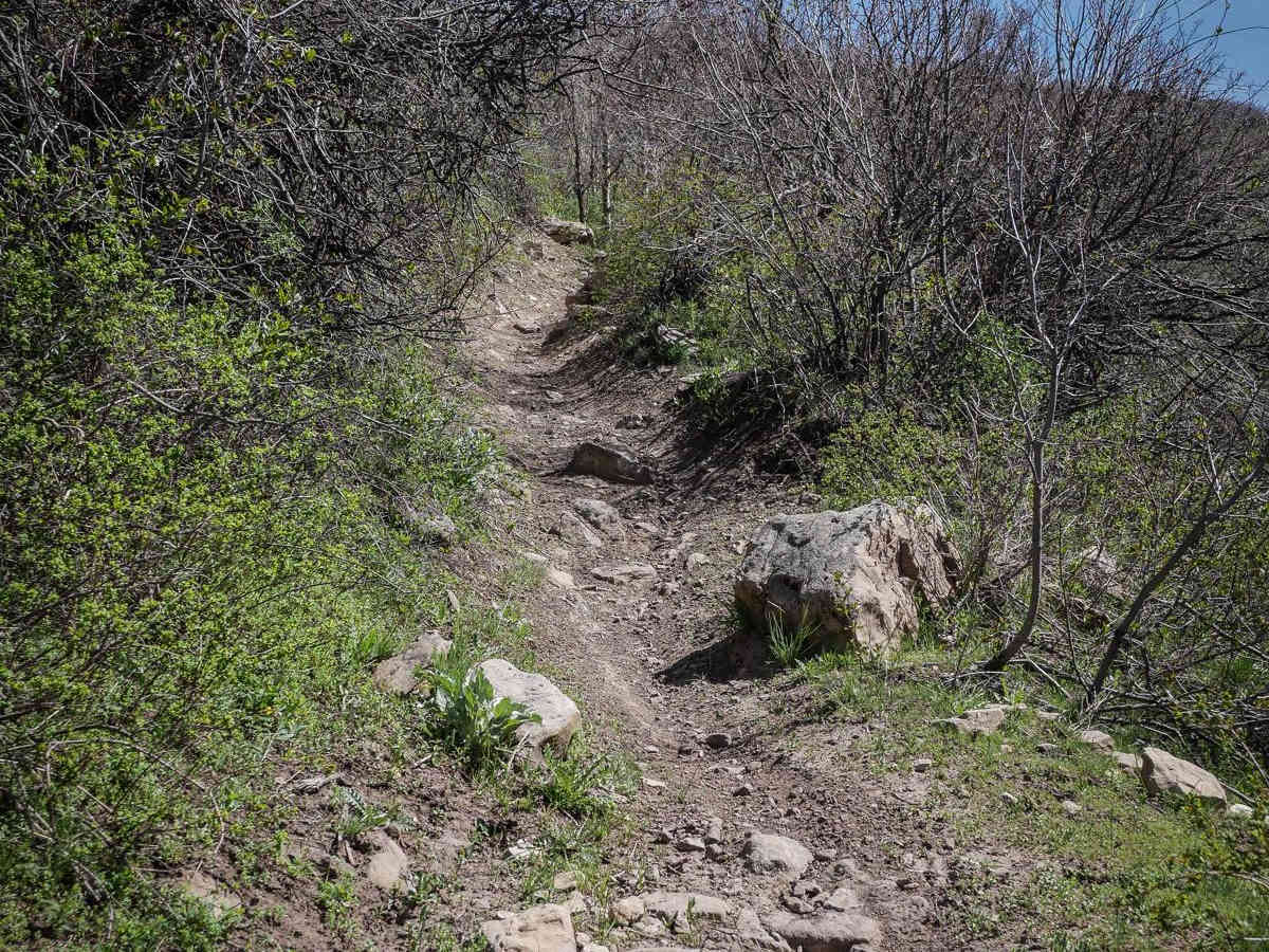 Cottonwood Second Water #018 photo 5