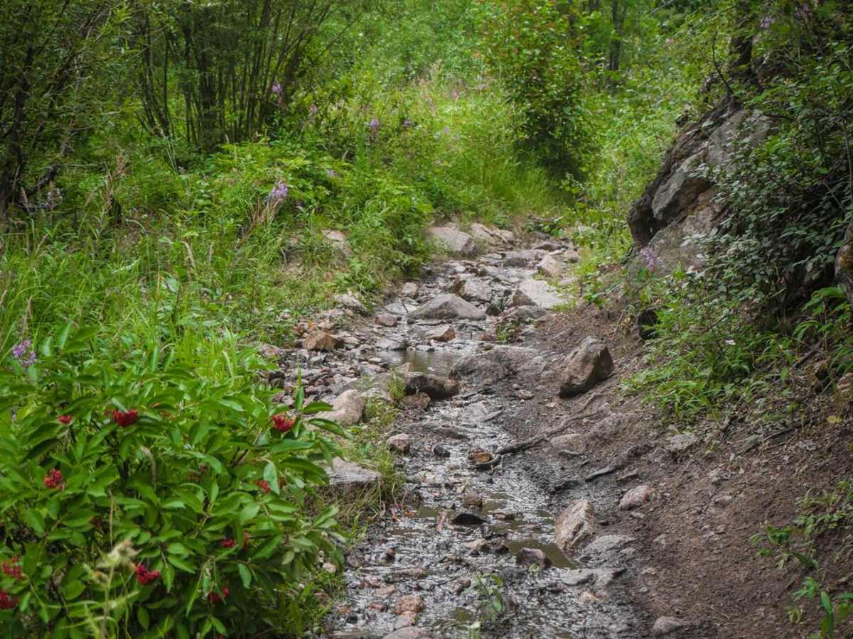 Agate Creek photo 2