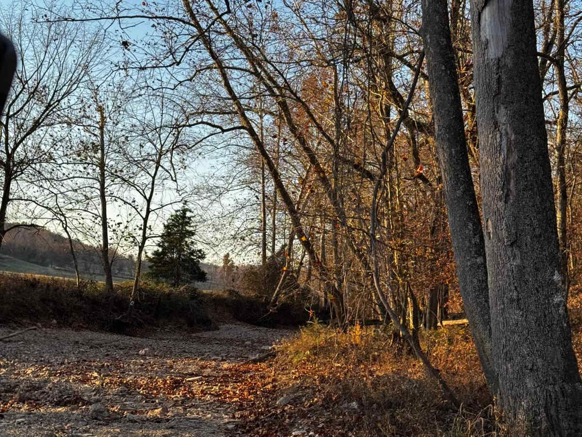 Main Creek photo 5