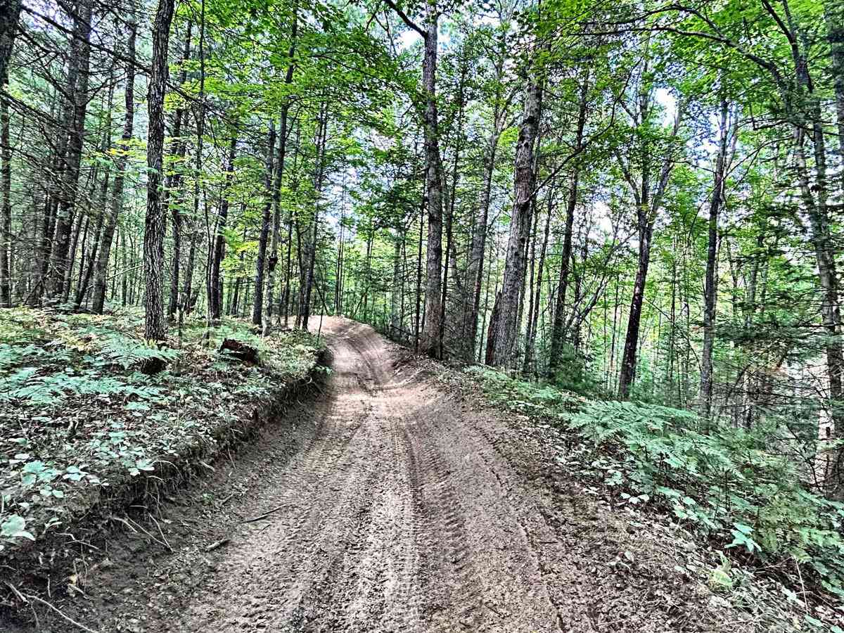 Little Leota Trail photo 2