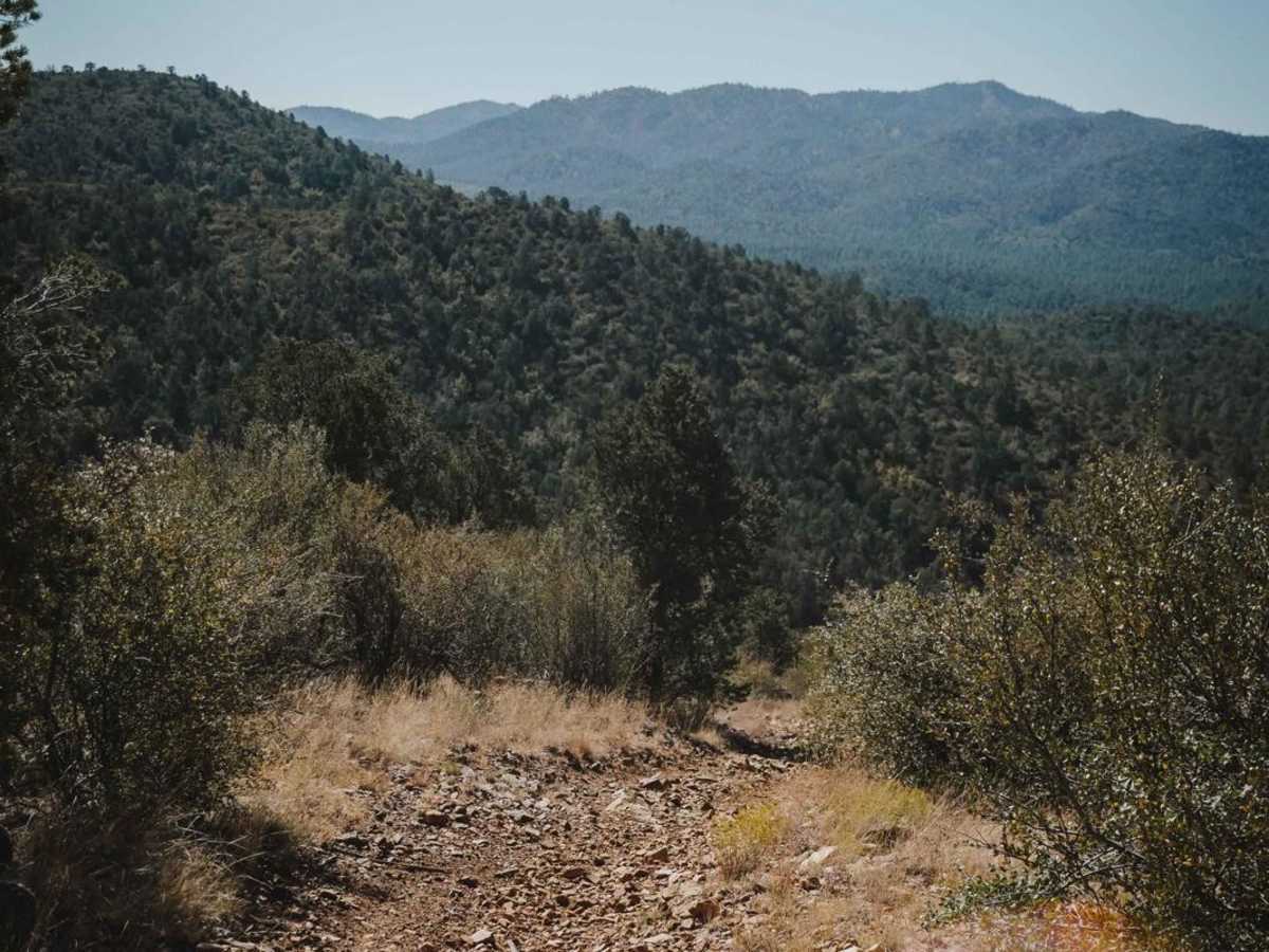 Salida Connection photo 2
