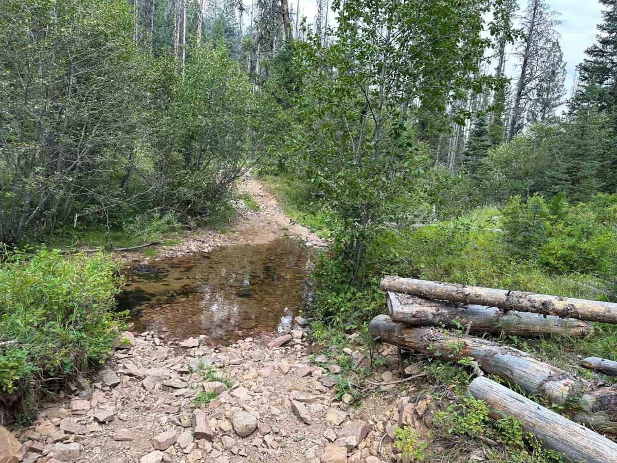 South Boulder Creek Loop photo 4