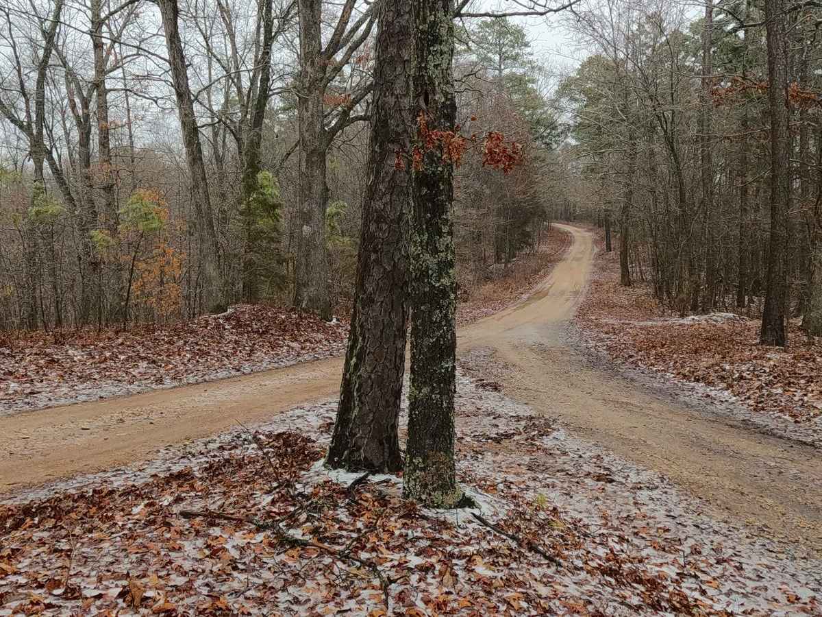 Timber Lane - FS 2514 photo 5