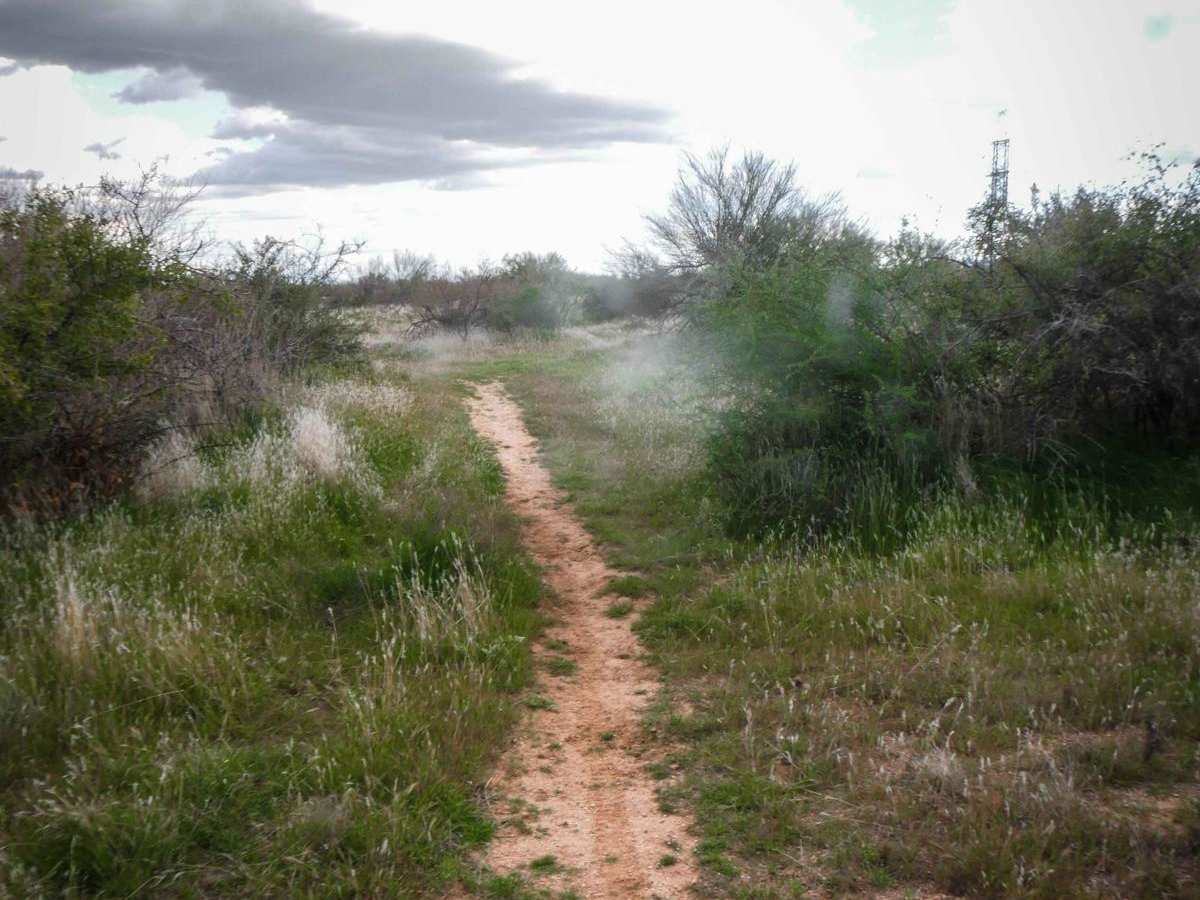 Camp Creek Access Single Track photo 4