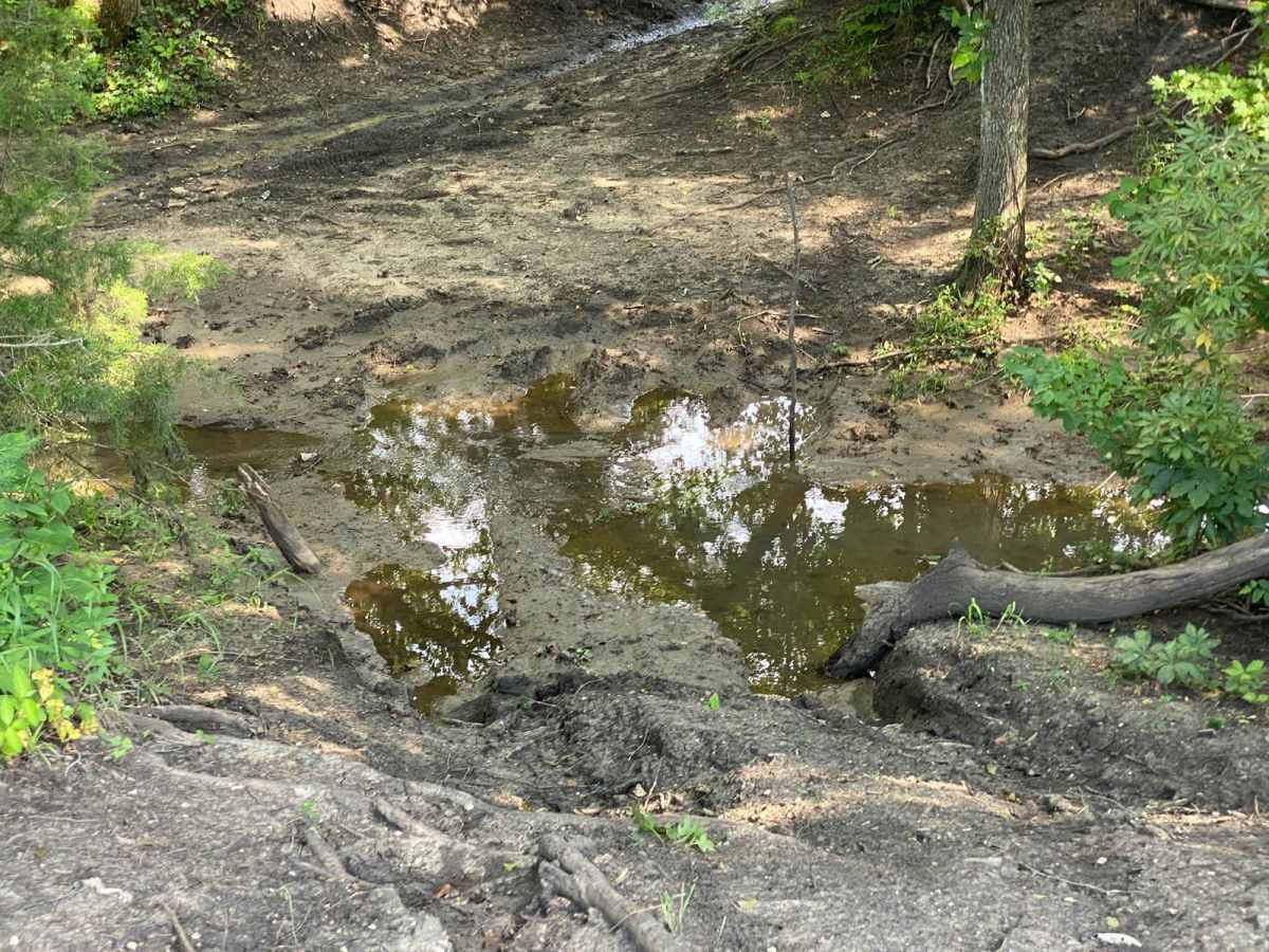 Troxel's Trough photo 3