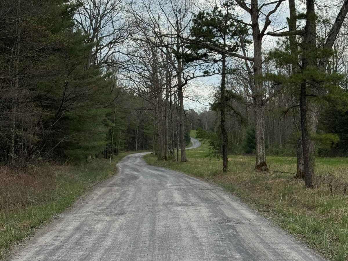 Ritchie Road photo 4