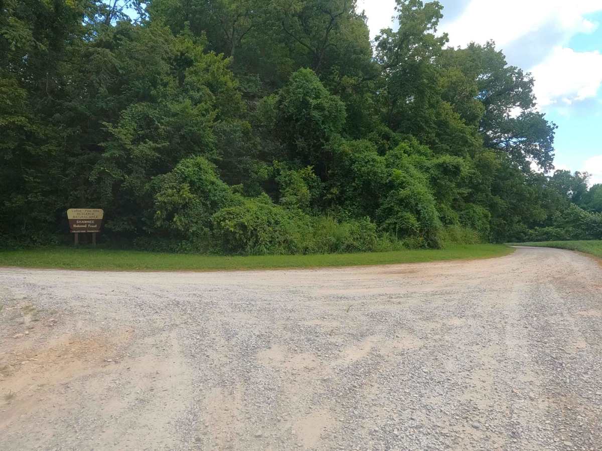 LaRue Road - FS 345 photo 4