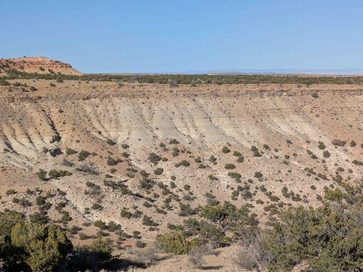 BLM 846 trail photo