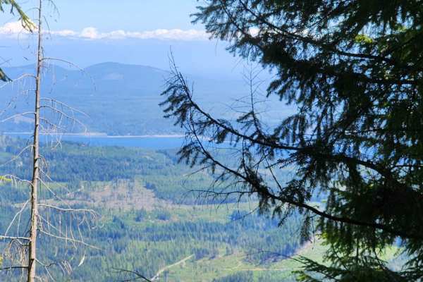 Jefferson Ridge Road