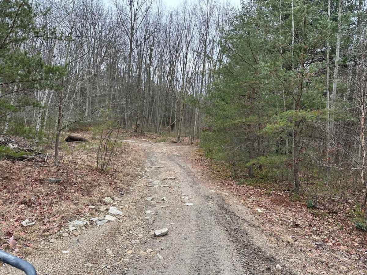 Locust Gap 54 trail photo