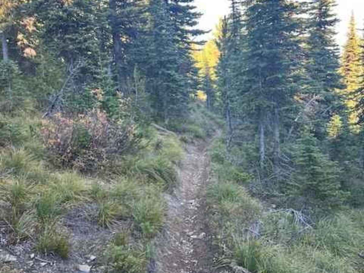 Columbia Mountain Loop photo 6