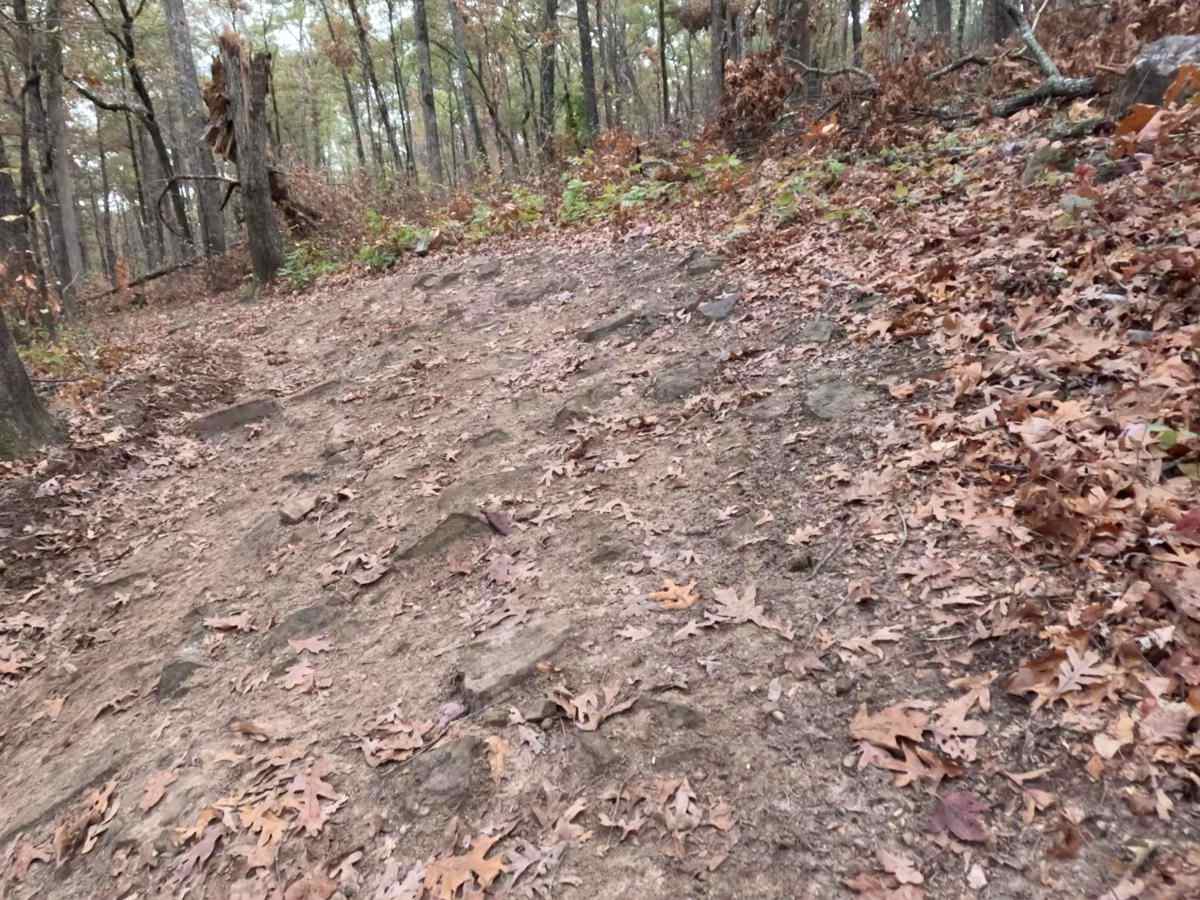 Logging Bank Trail (FSR #94449B) photo 2