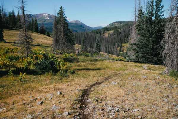 Sawmill Gulch Trail