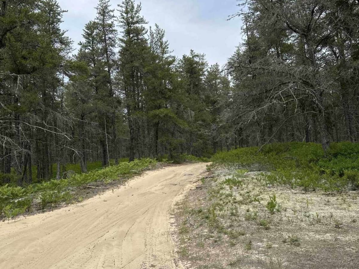 Coast Guard trail photo