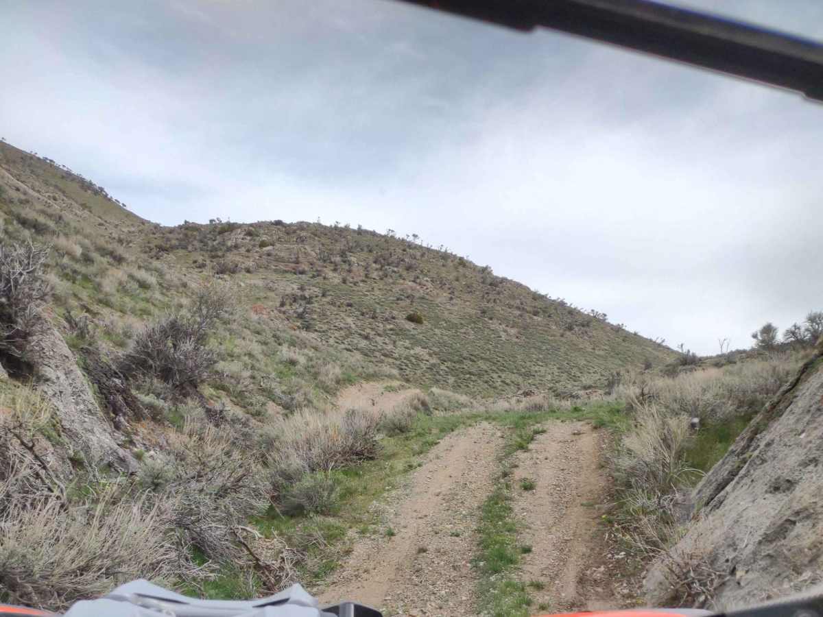 Appendicitis Hill Spur 2 photo 5