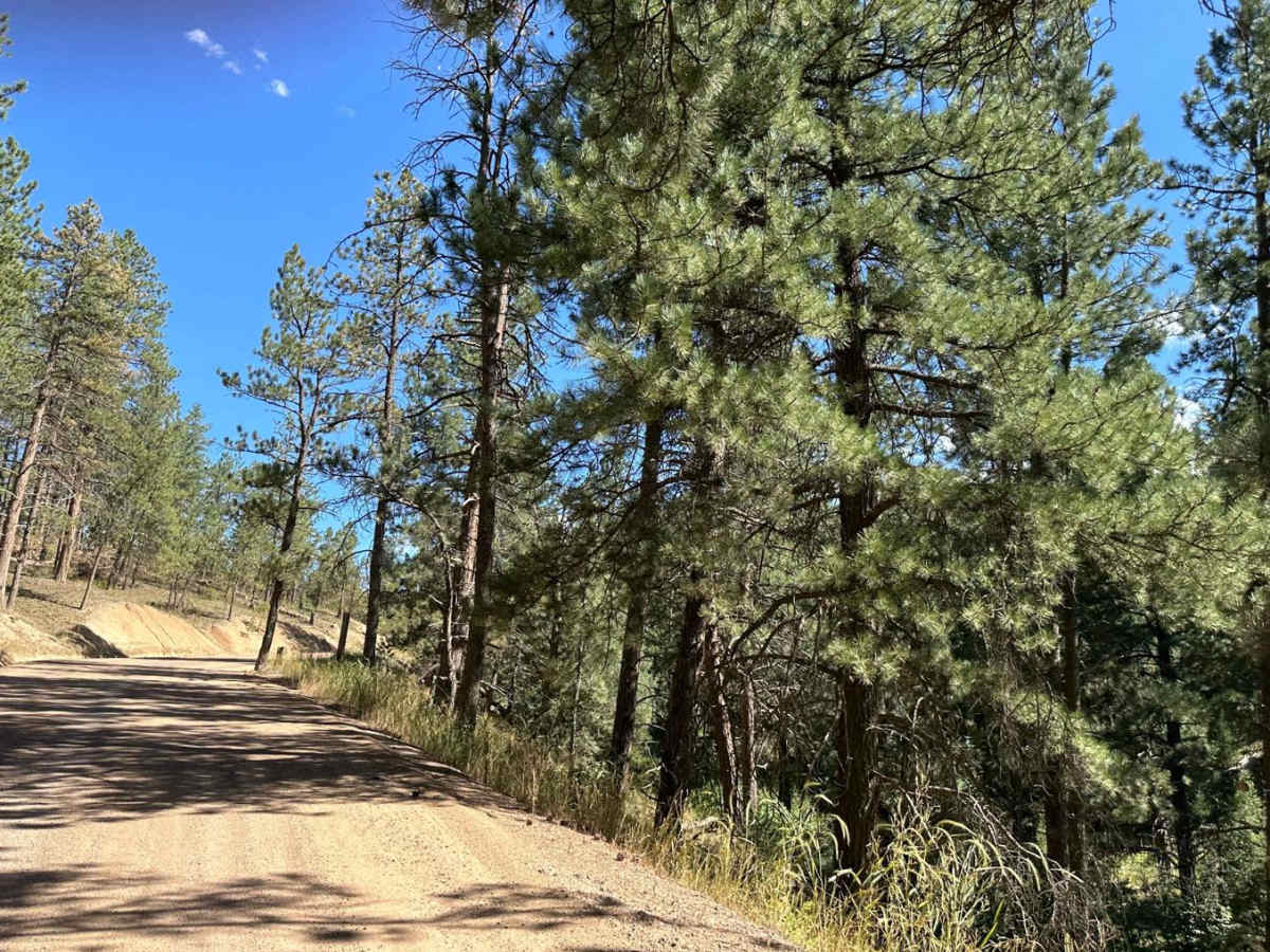 West Pine Creek Road photo 5
