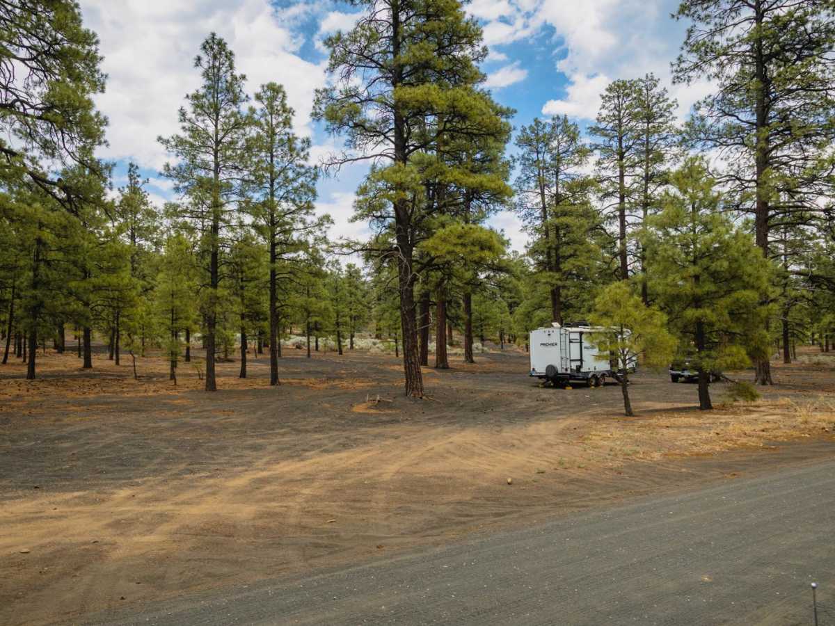 Cinder Hills OHV Area / 776 photo 4