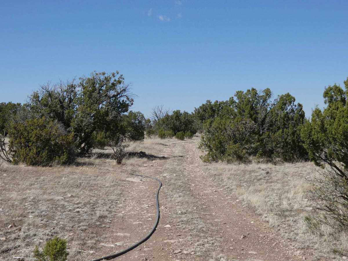 Indian Creek Overlook photo 3