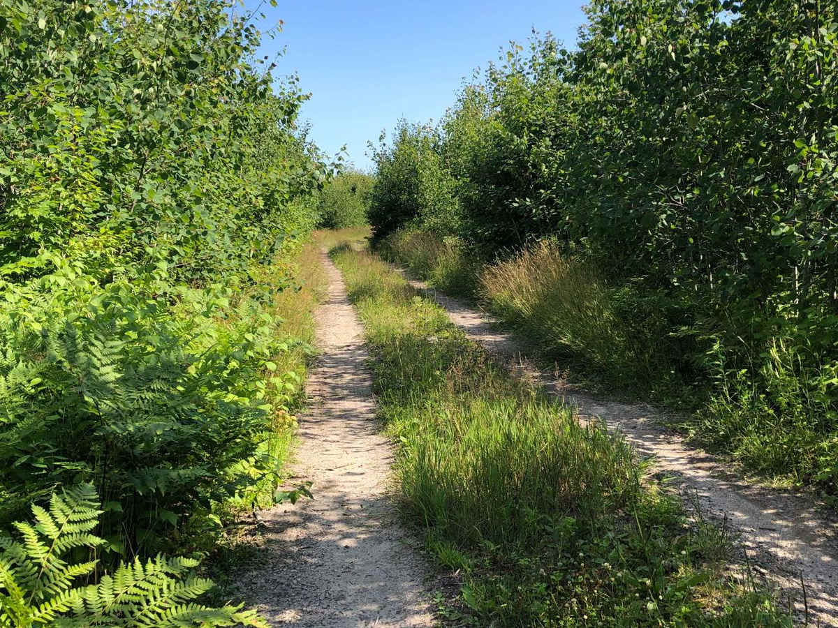 Vermeersch Trail photo 3