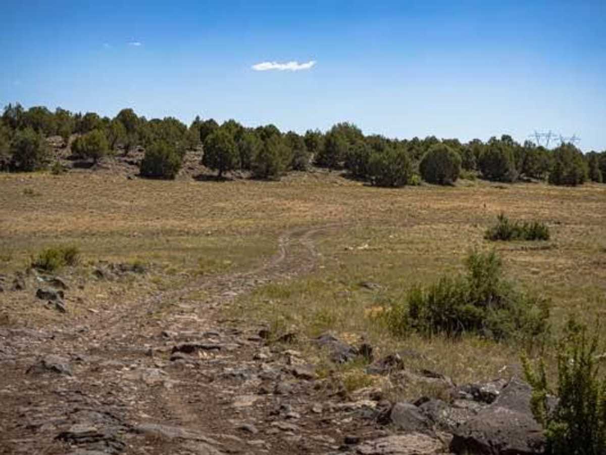 Antelope Loop photo 4